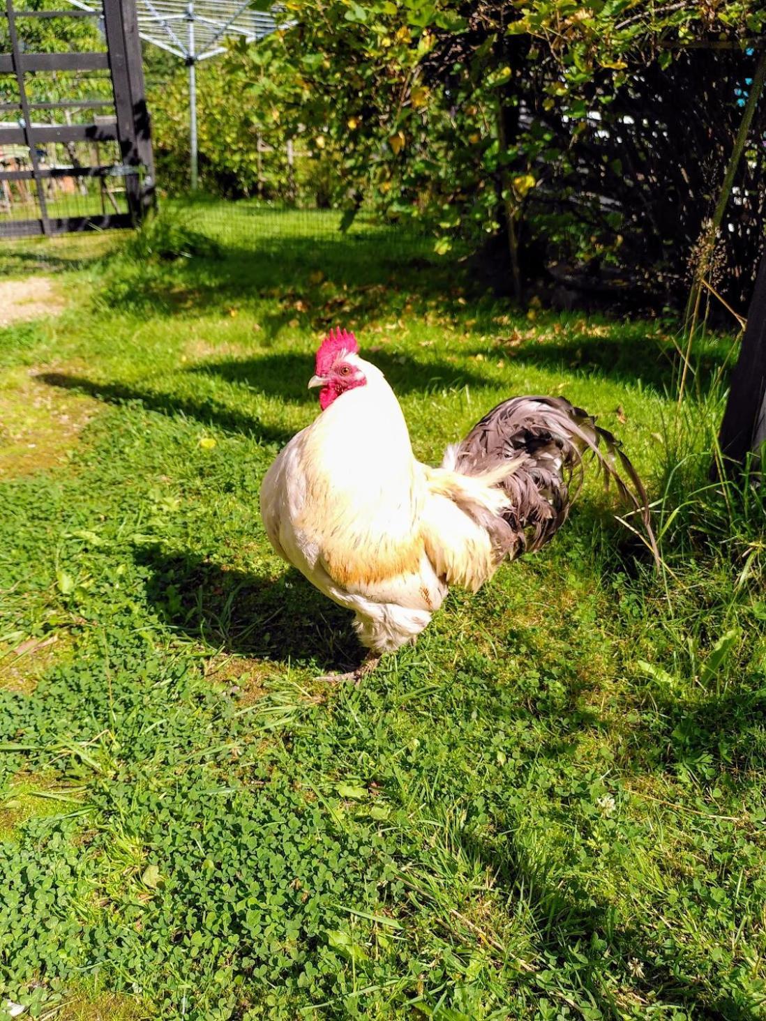 Laegenhet Naturnaera I Henån Екстериор снимка